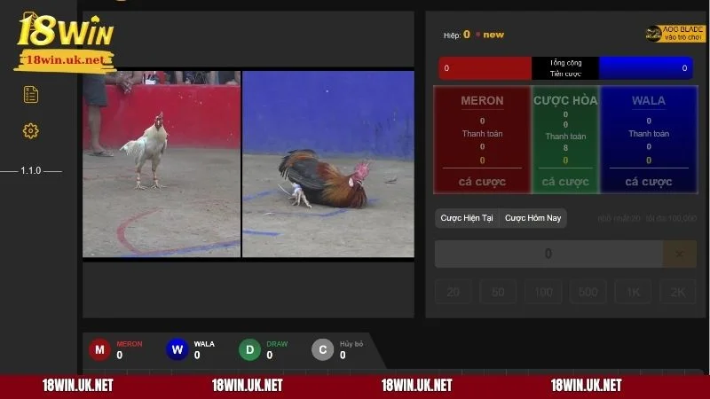 AOG Đá Gà 18WIN được tổ chức chuyên nghiệp