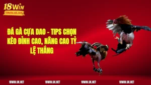Đá Gà Cựa Dao - Tips Chọn Kèo Đỉnh Cao, Nâng Cao Tỷ Lệ Thắng