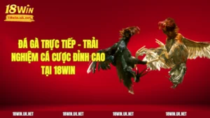 Đá Gà Trực Tiếp - Trải Nghiệm Cá Cược Đỉnh Cao Tại 18WIN